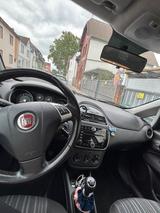 Fiat Punto evo - Fiat Punto Evo in Frankfurt (Main)