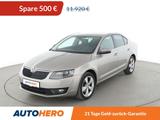 Skoda Octavia 1.4 TSI Elegance - Skoda in Bergisch Gladbach