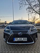 Lexus NX 300h Executive Line  - Lexus: Allradantrieb