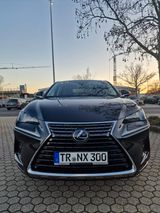 Lexus NX 300h Executive Line  - Lexus: Geländewagen