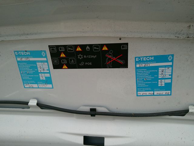 Renault Kangoo Z.E. 33 Maxi Inklusive Batterie