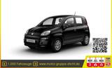 Fiat Panda Pandina POP Hybrid 1.0 GSE #S&S #KLIMA - Fiat Panda POP mit Hybrid-Antrieb (Benzin/Elektro)
