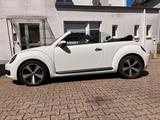 Volkswagen Beetle 1.6 TDI Cabriolet - - Volkswagen Beetle in Wuppertal