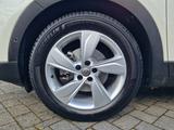 Opel Grandland Ultimate | Alwetter - Opel Grandland (X) Gebrauchtwagen in Düsseldorf