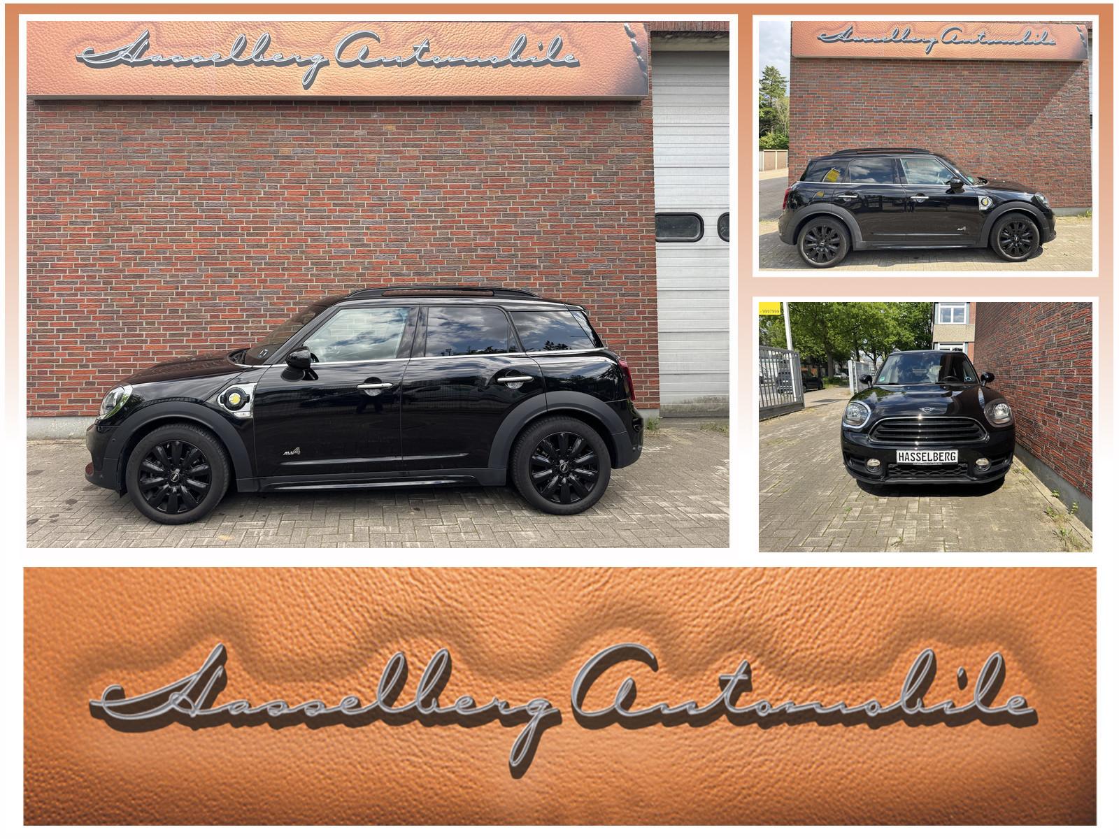 MINI Cooper S Countryman All4 Leder 18 Zoll Keyless U