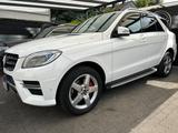 Mercedes-Benz ML 250 CDI 4MATIC BlueTec*AMG*HUDP*KAMERA*AHK*CO - Mercedes-Benz ML 250 aus 2015