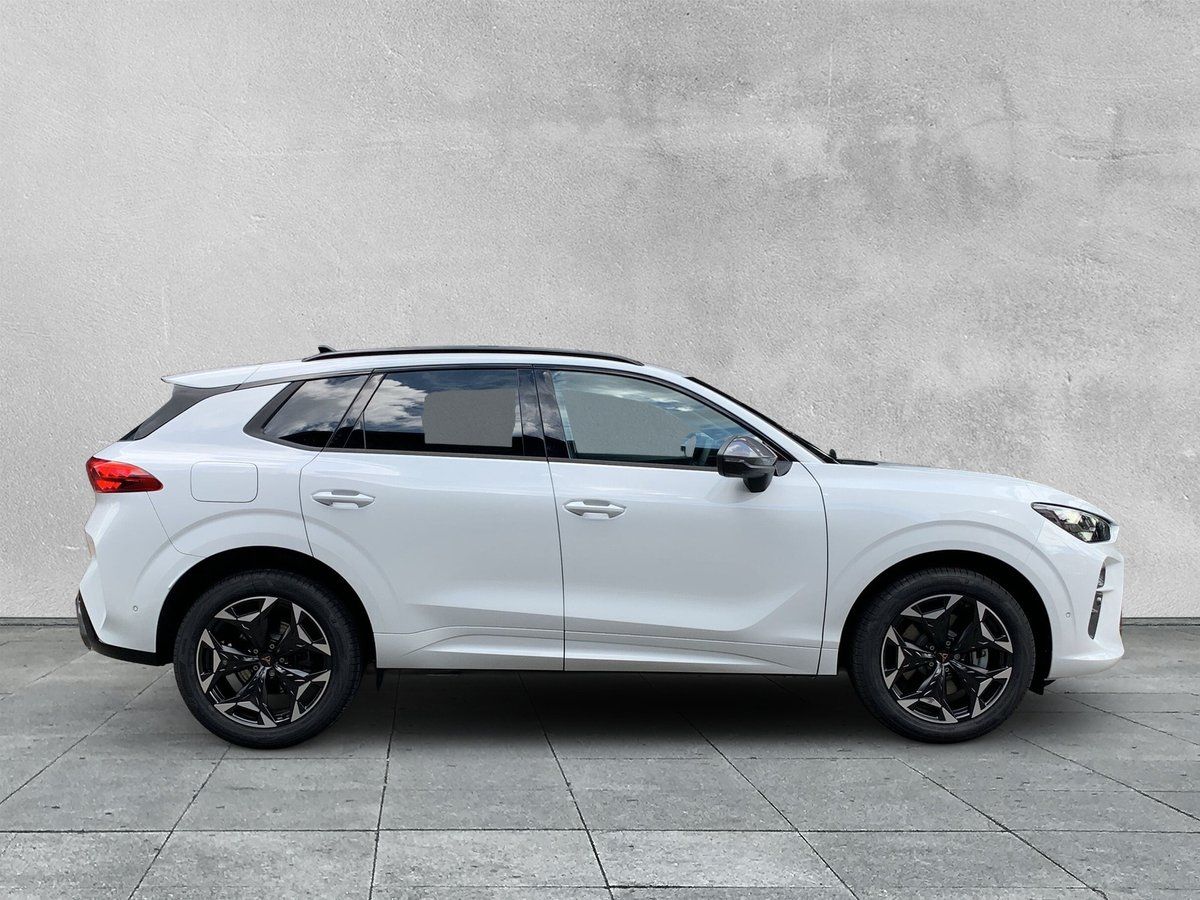 Cupra Terramar - Bild 6