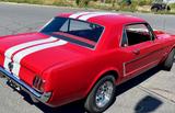 Ford Mustang Coupe 1965 / 302 V8 / Gutachten 2+ - Ford Mustang: 302