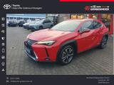 Lexus UX 250h  (E-FOUR) Luxury Line 360°+Sitzbelüftung - rote Lexus UX