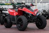 CFMOTO Cforce 110, Kinderquad, 45KM/H, sofort lieferbar - BENZIN QUAD KINDER