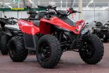 CFMOTO Cforce 110, Kinderquad, 45KM/H, sofort lieferbar - BENZIN QUAD KINDER