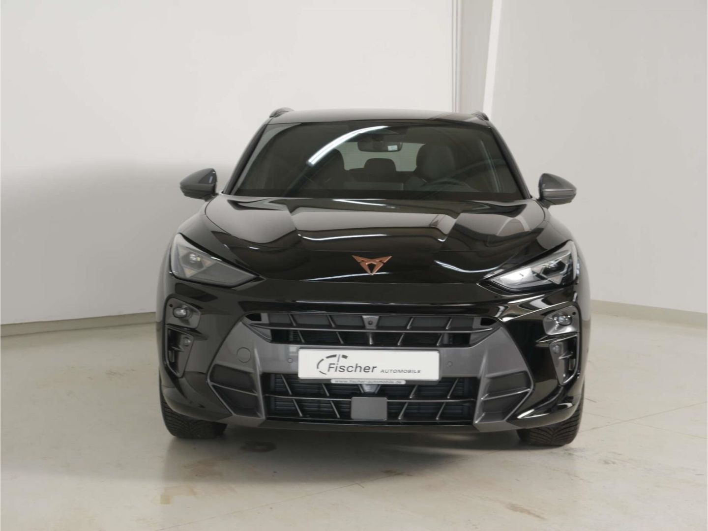 Cupra Terramar - Bild 3
