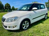 Skoda Fabia Greenline - Skoda Fabia: Greenline