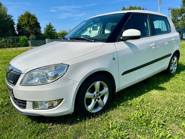Skoda Fabia Greenline, Erstzulassung 06/2011, 263.845 km