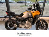 Moto Guzzi Stelvio E5+ Yellow Savana - MOTO GUZZI NEU