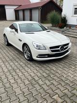 Mercedes-Benz SLK 250 CDI - - Mercedes-Benz SLK 250: Cdi
