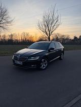 Skoda Superb 1.4 TSI ACT Active Combi Active - Skoda Superb Active mit Benzin-Antrieb
