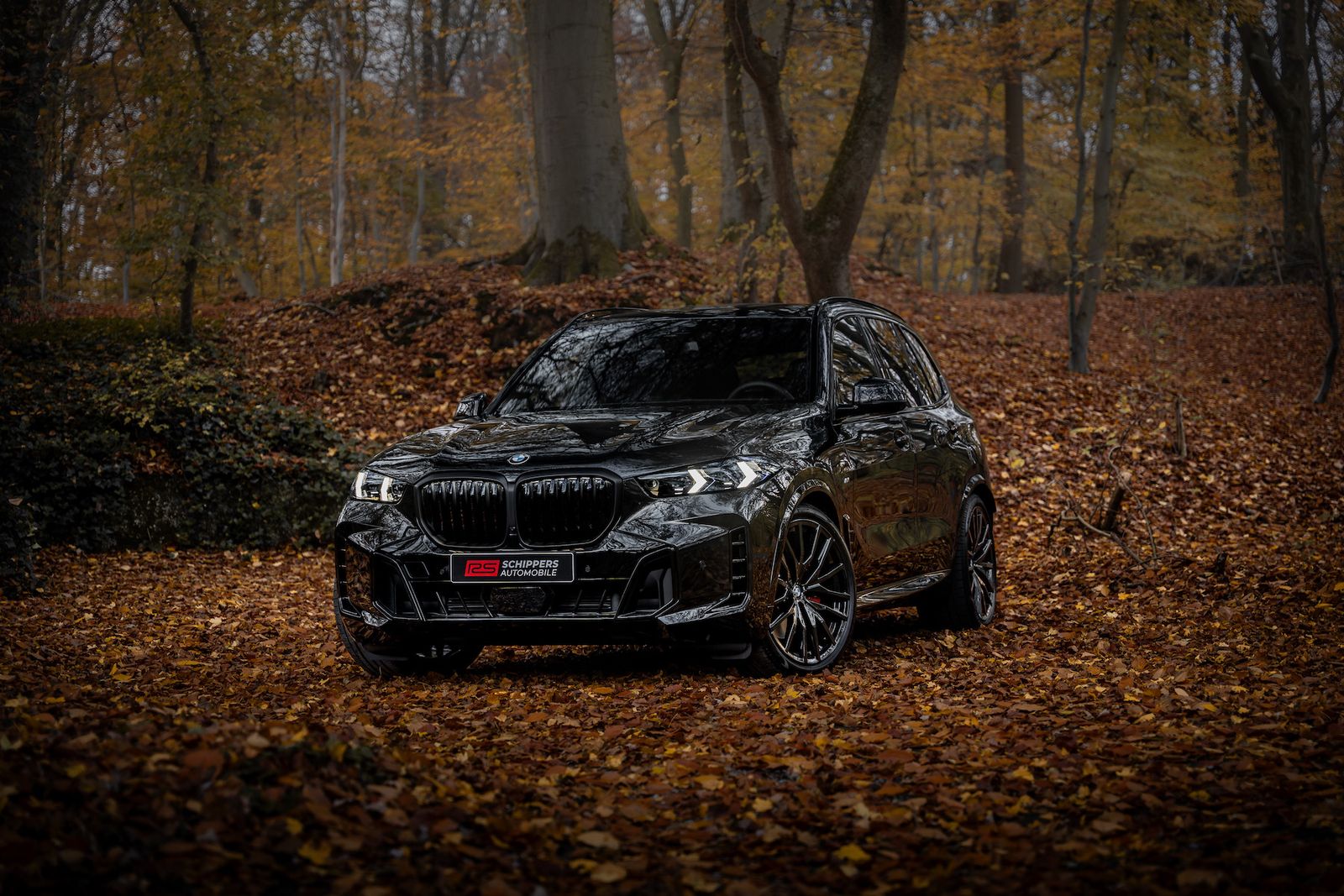 Fahrzeugabbildung BMW X5 40d xDrive M-SPORT PRO|AHK|CARBON|LUFT|ICONIC