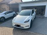 Tesla Model Y  SR mit BYD Akku - Tesla Gebrauchtwagen von 2024