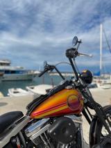Harley-Davidson HD Harley Davidson Springer Softail FXSTS EVO - HARLEY-DAVIDSON FXSTS