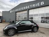 Volkswagen Beetle Cabriolet Allstar HU/AU Neu. Service - Volkswagen Beetle ALLSTAR mit Benzin-Antrieb