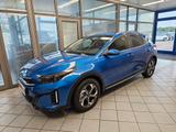 Kia XCeed Voll-LED,Klimaaut,Navi,Kamera,Sitzhzg. - Kia XCeed Gebrauchtwagen