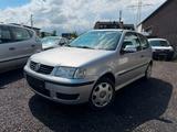Volkswagen Polo 1.4 55kW Auto Basis - gebrauchte VW Polo aus dem Jahr 2000