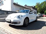 Volkswagen Beetle 1.2 TSI BMT ALLSTAR Cabriolet Navi/Kamera - VW Beetle gebraucht in Frankfurt