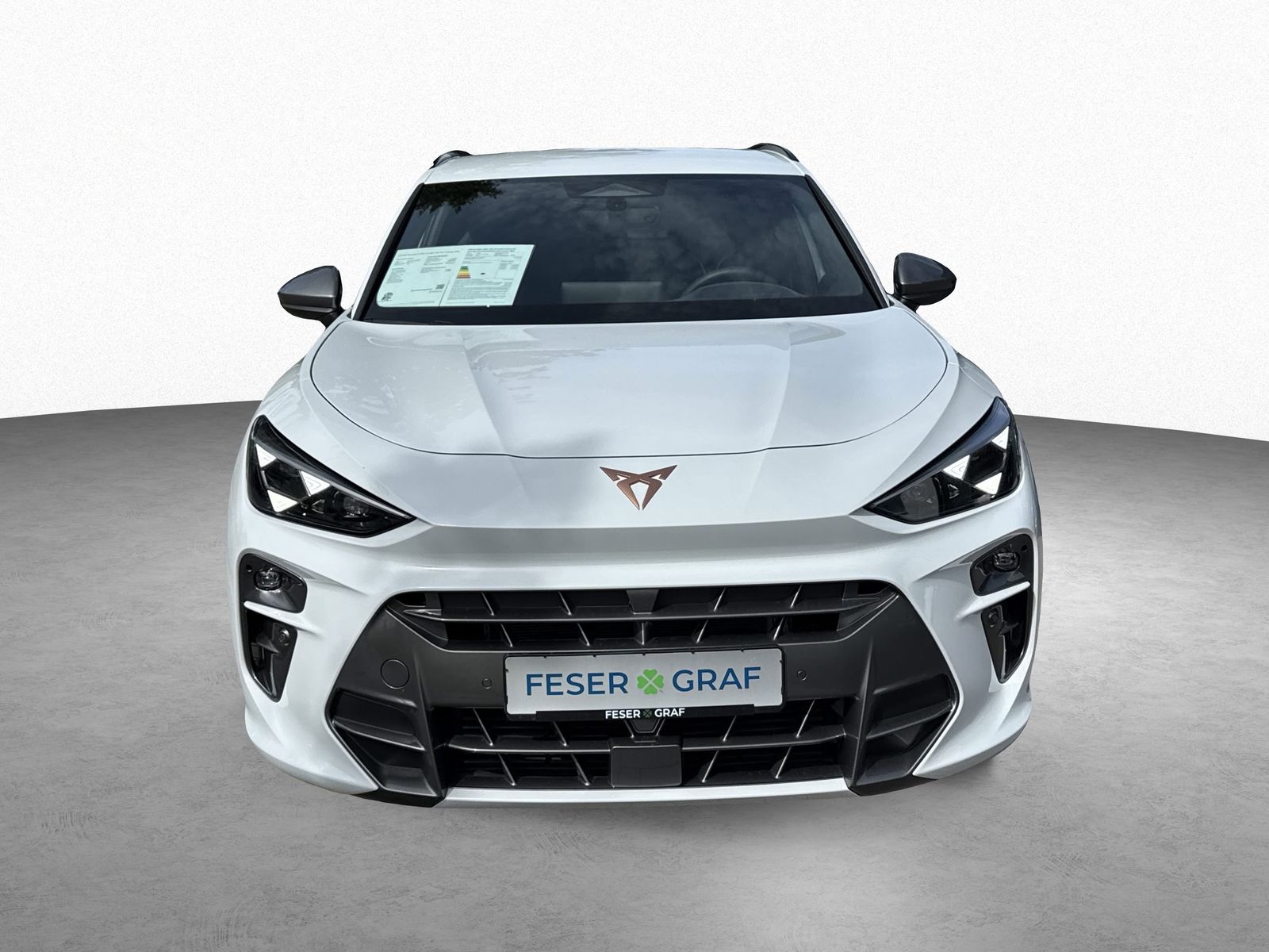 Cupra Terramar - Bild 2
