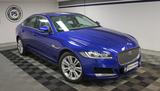 Jaguar XF 250PS Portfolio LED KAMERA PANO LEAPER 1.HAND - gebrauchte Jaguar XF aus dem Jahr 2019