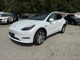 Tesla Model Y Dual AWD LONG RANGE 24400 km 1A AHK - Tesla Model Y in München