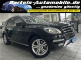 Mercedes-Benz ML 500 CGI V8 BE 4Matic, 1.Hand, Leder, 7G, Pano - Mercedes-Benz ML 500: 4matic