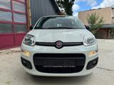 Fiat Panda Easy - Fiat Panda in Chemnitz