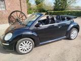 Volkswagen Beetle Cabrio - gebrauchte VW Beetle aus dem Jahr 2010