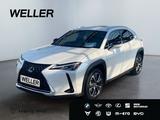 Lexus UX 250h Style Edition *Bi-LED*ACC*CAM*SHZ*CarPla - graue Lexus UX