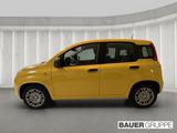 Fiat Panda 1.0 GSE * * PDC * TOP PREIS * ABS Airbag E - Fiat Panda Neuwagen mit Benzin-Antrieb