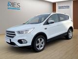 Ford Kuga 1.5 EcoBoost Trend KlimaA*Navi*2xKlima*Kam. - Ford Kuga: Trend