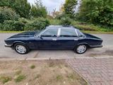 Jaguar XJ40 - Jaguar XJ40 von privat