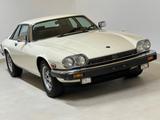 Jaguar XJS coupe V12 HE 35.896 km ! - weiße Jaguar XJS