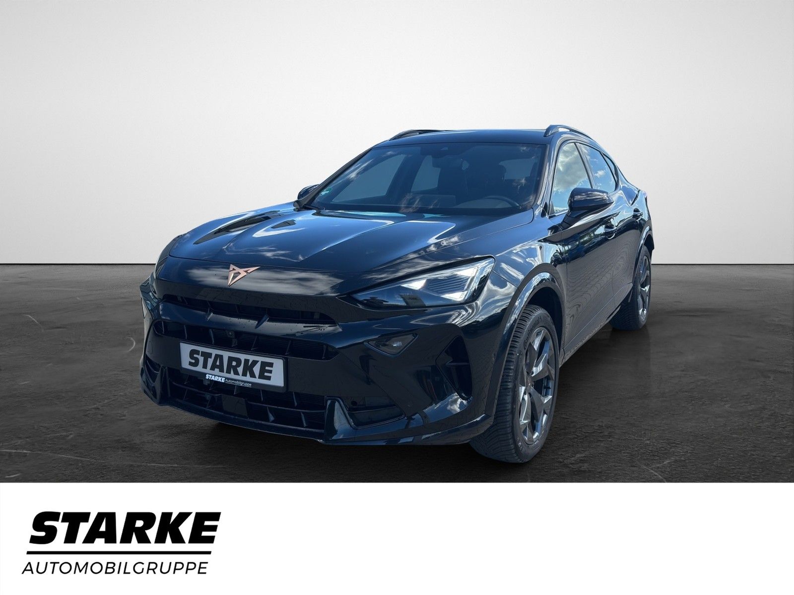 Cupra Formentor 2.0 TDI DSG AHK Navi LED Kamera PDC L