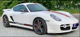 Porsche Cayman S Biturbo von T.T.P Rosenheim mit 459 PS  - Porsche Cayman: R