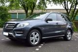 Mercedes-Benz ML 250 BlueTEC 4MATIC - Standheizung DISTRONIC