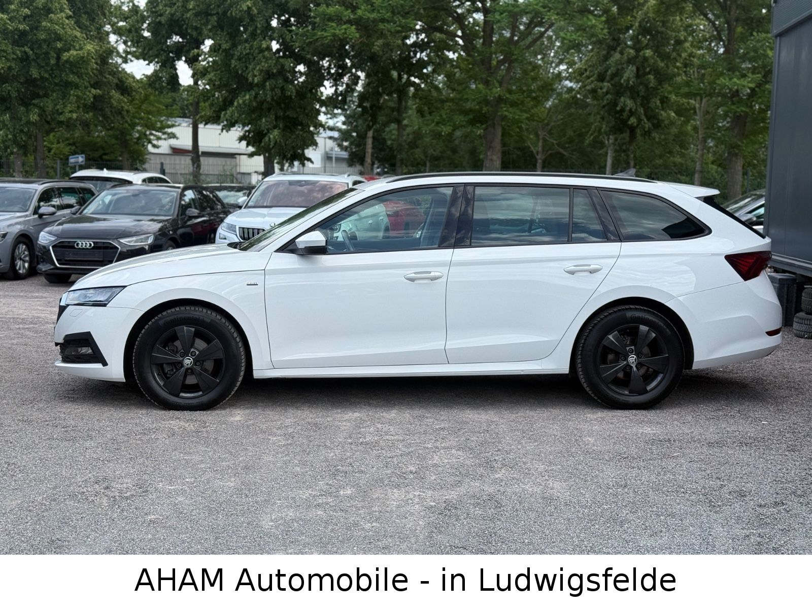 Skoda Octavia Combi Clever|STHZ|LKZ|ACC|AHK|4xSZH|MASS imagem 2