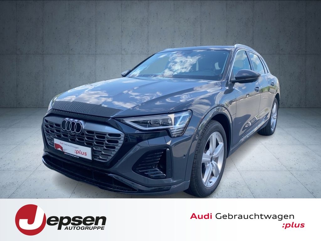 Audi Q8 e-tron S line 50 qu. Matrix 20´ ParkAssist