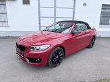 BMW 220 i Cabrio Luxury Line/Navi-Pr/Alu18/Leder/Sit - gebrauchte Cabrios in Gießen