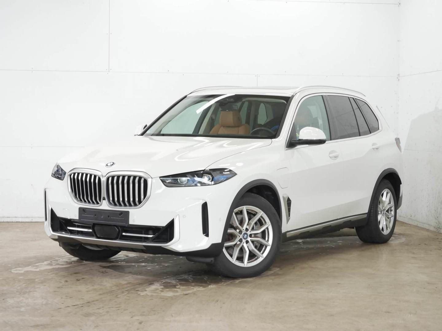 BMW X5 xDrive50e Aktivlenk.Pano Service Inclusive
