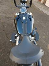 Harley-Davidson Cross Bones  - HARLEY-DAVIDSON CHOPPER CROS BONES