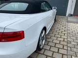 Audi Cabriolet - Audi: Weiß, Cabrio