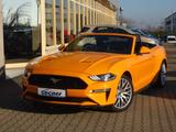 Ford Mustang Convertible 290PS Navi ACC Kamera - Ford Mustang: Cabrio
