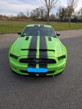 Ford Mustang USA - Ford: Usa